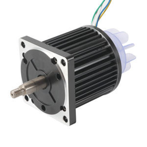 Hoge Torsie 110mm Brushless Motor van Hoge Machtsbldc